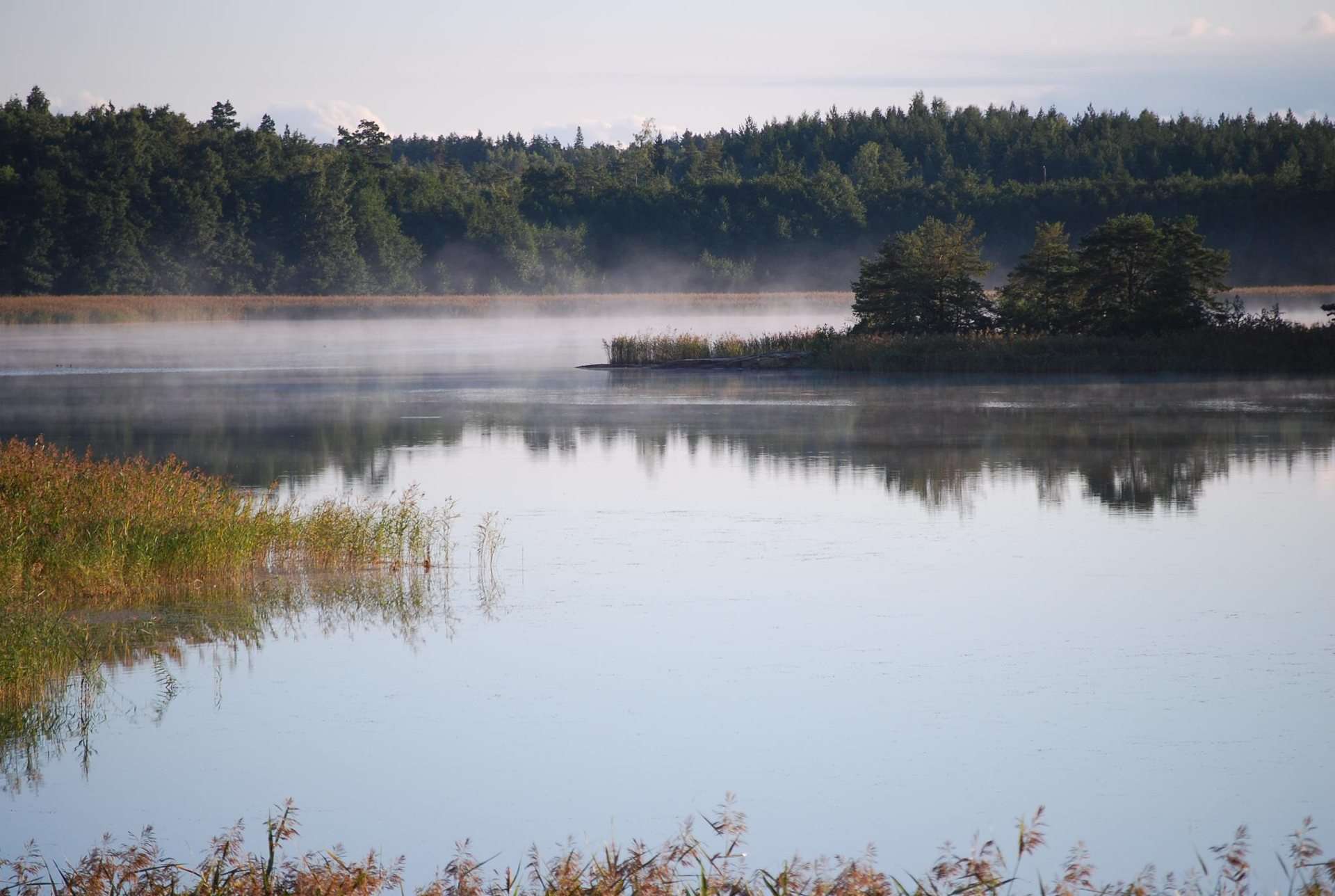 Morgondimma över en vik i skärgården
