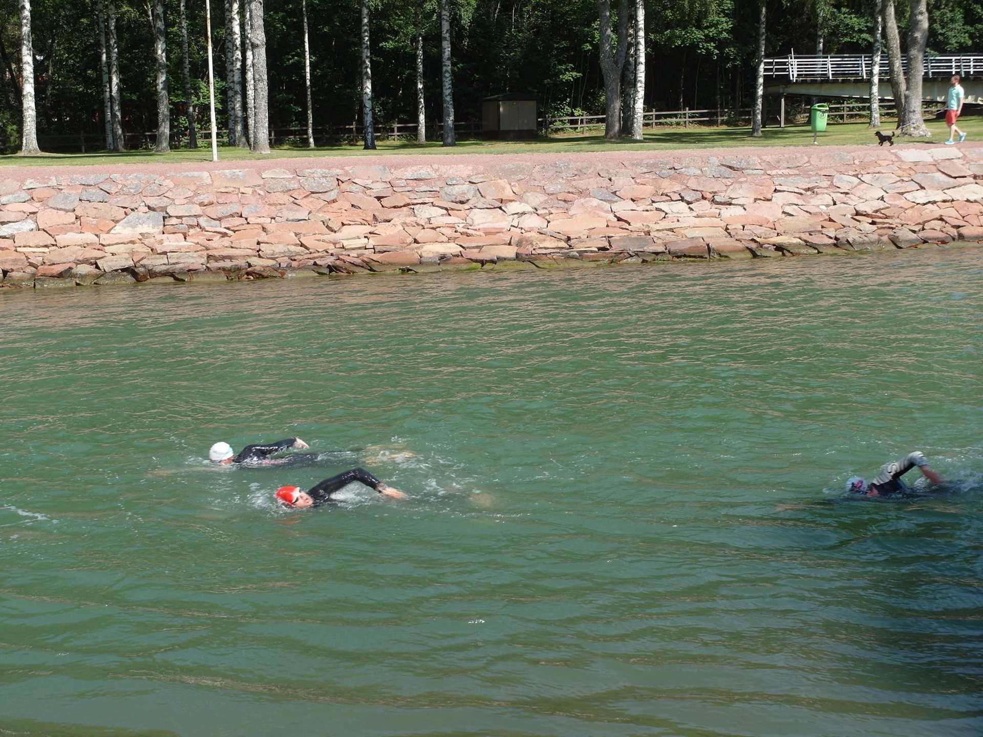 Simmare i Lemströms kanal